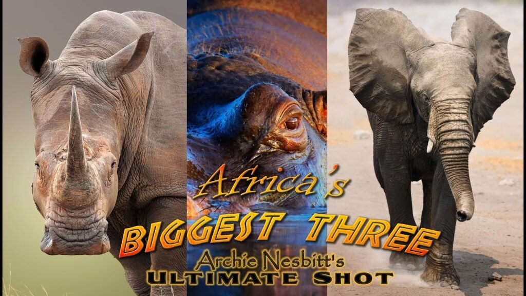 Africa’s Biggest Three – Bow hunt Elephant – big game bow hunt – AI enhanced video to HD