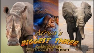 Africa’s Biggest Three – Bow hunt Elephant – big game bow hunt – AI enhanced video to HD