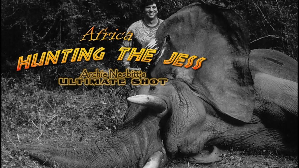 Bow hunt elephant – Hunting the Jess – bow hunting Zambia for dangerous 7- AI enhanced video to HD