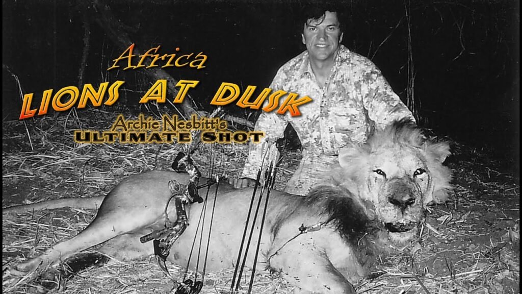 Dangerous hunt Lions at Dusk – dangerous game! lion hunting! – AI enhanced video to HD